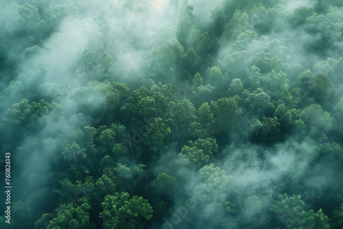 background forest with fog aerial view