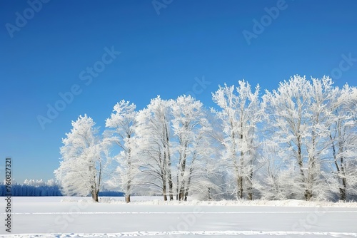 Frosty winter landscape with snow-covered trees under a clear blue sky Capturing the tranquil beauty of the season for holiday themes or winter product promotions.