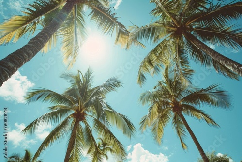 Summer breeze through palm trees, gently swaying  Ocean breeze, palm trees dancing in the sunlight. © SaroStock