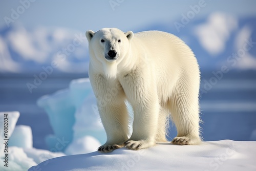 Polar bear standing on glacier © Paworn