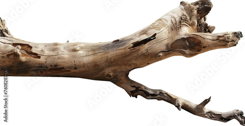 Driftwood sculpture, cut out transparent photo