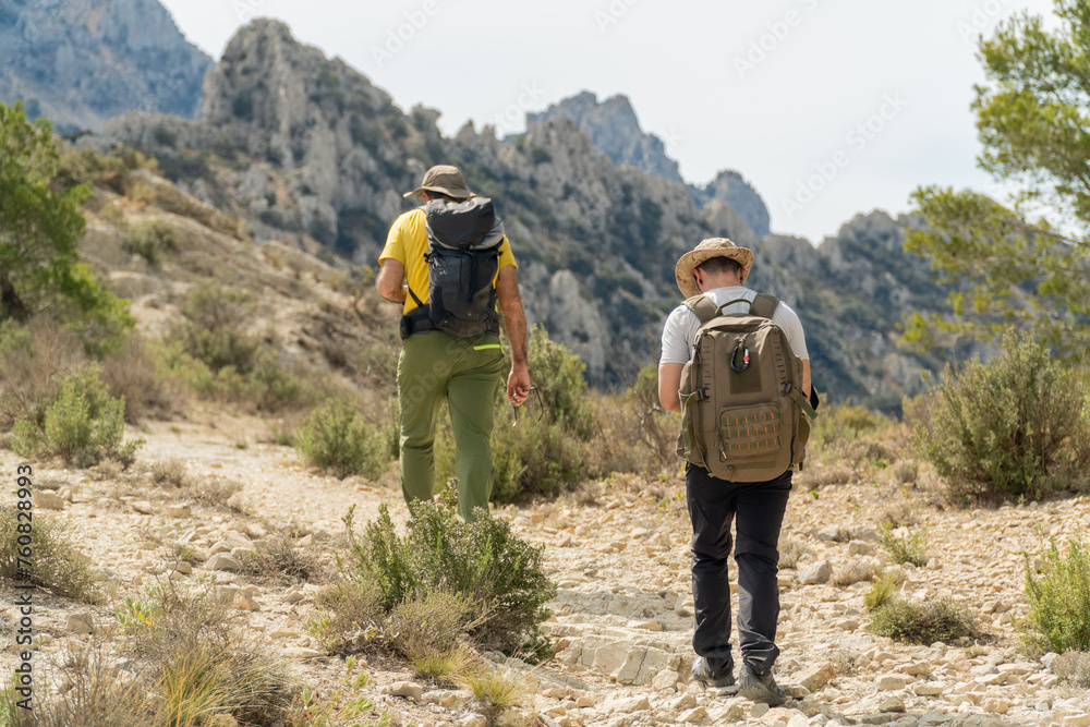 Hikers in row, walking on mountains, enjoying a journey.