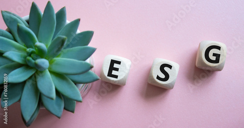 GSG - Environmental, Social and Governance symbol. Concept word GSG on wooden cubes. Beautiful pink background with succulent plant. Business and GSG concept. Copy space. photo