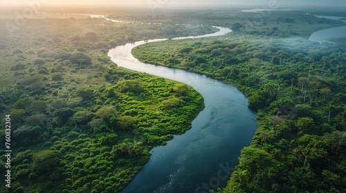 River Flowing Through Lush Green Forest