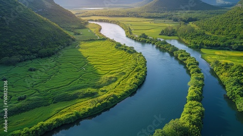 River Flowing Through Lush Green Forest