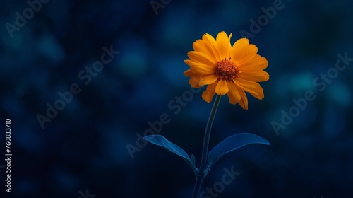 A radiant marigold shining brightly against a backdrop of deep indigo twilight.