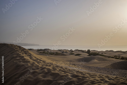 Maspalomas Sand Dunes Bathed in the Warm Glow of a Gran Canaria