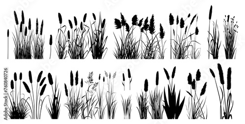Reeds collection. Isolated black reed, forest pond and swamp plants. Decorative wild nature silhouettes, vector landscape elements set