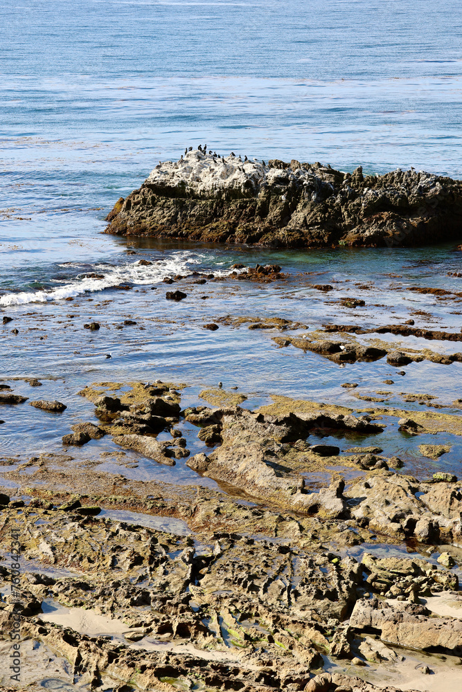 Bird Rock Sanctuary at low tide