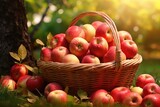 Red Apples in Basket, Rich Apples Harvest Banner, Ripe Fruits in Garden on Grass under Apple Tree
