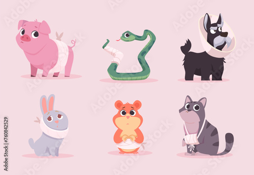 Sick pets. Medical treatment animals exact vector care for sick pets