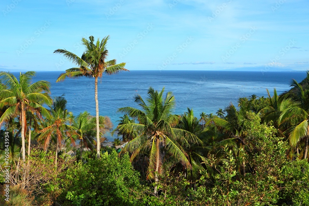 Blue calm sea, green vegetation with palms, native boats, travel picture. View from the tropical island, ocean with the fishing boats in the distance. Adventure trip on exotic landscape.