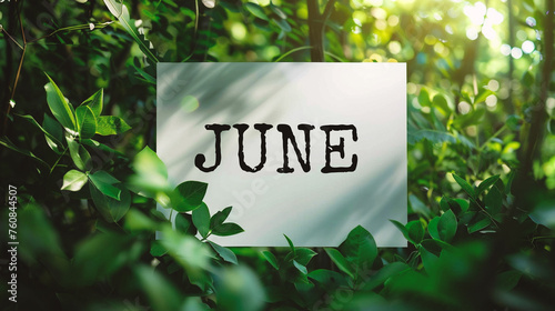 JUNE word on white paper card in the green nature background. © Jioo7