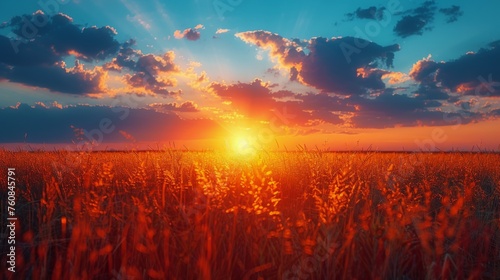 Sun Setting Over Tall Grass Field © olegganko
