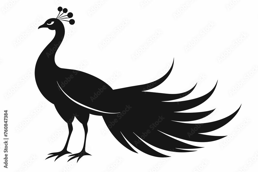 peacock silhouette vector on white background. peacock silhouette vector on white background.