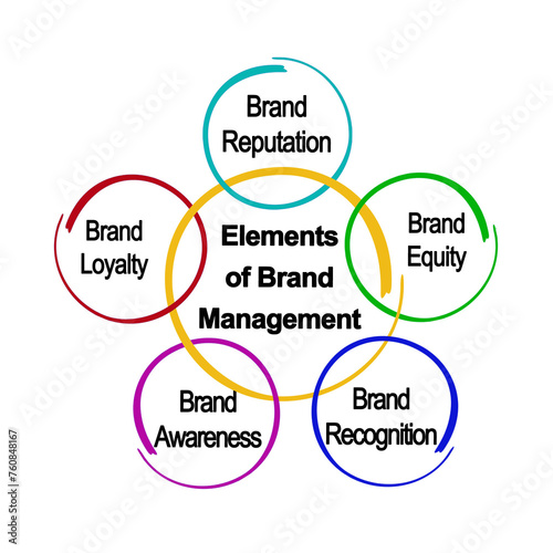Five Components of Brand Management