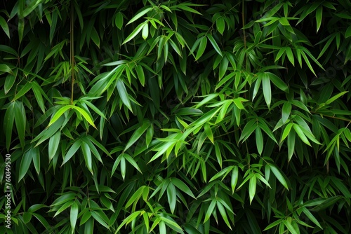 Bamboo leaves background. Nature asia. Generate AI