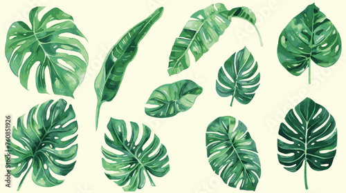 Vector Monstera Plant Watercolor Graphic Illustration