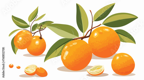A seething kumquat with its orange peel tightly fur photo