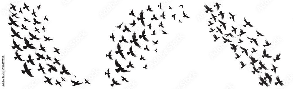 Birds migration flock silhouettes. Flocked flying crows pigeons seagulls black designs on white sky