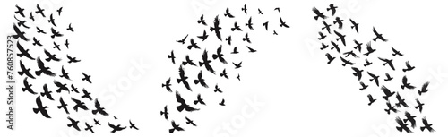 Birds migration flock silhouettes. Flocked flying crows pigeons seagulls black designs on white sky © LadadikArt