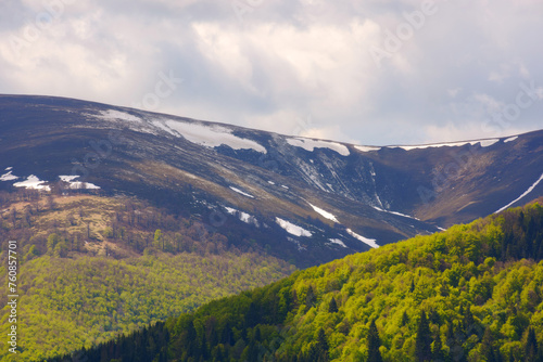 forested hills of mountainous countryside in spring. nature background scenery in morning dappled light. ecology and environment backdrop