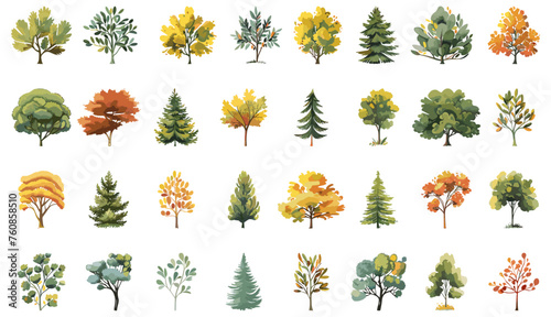 Cartoon forest plants collection. Bushes and trees symbols isolated on white, oak spruce pine aspen linden willow willow rowan photo