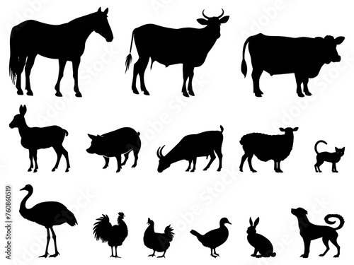 Farm animals silhouettes isolated on white background. Horse bull cow sheep goat donkey pig dog cat ostrich rooster chicken duck rabbit livestock vector black symbols isolated on white © LadadikArt