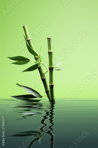 bamboo leaves on a green water background