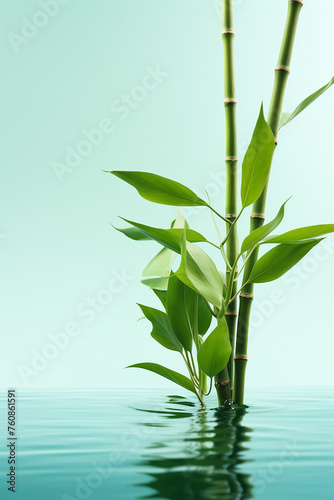 bamboo leaves on a light blue water background
