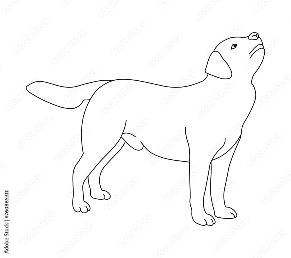 Fototapeta premium Sketch of dog in pose. Outline of a pet go, standing, running, jumping, training, walking, guarding, posing, play
