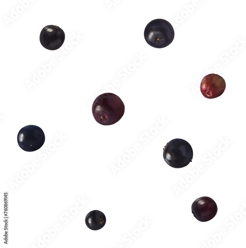 Fresh ripe elderberry falling in the air isolated on white background. Food levitating or zero gravity conception.