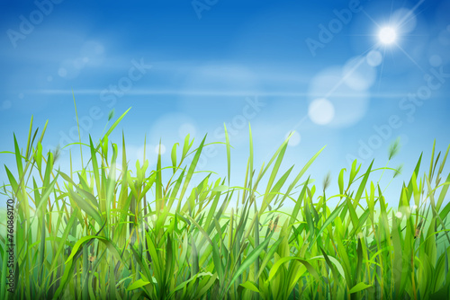 Realistic grass sky. Green field and clouds scenery, fluffy lawn growing garden herbs countryside meadow scene, spring or summer greenery eco background, exact vector illustration