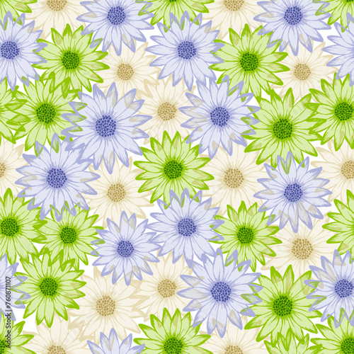 Chamomile colorful summer endless rapport. Rudbeckia daisy blossom with