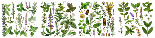 Herbal remedies and medicinal plants Hyperrealistic Highly Detailed Isolated On Transparent Background Png File