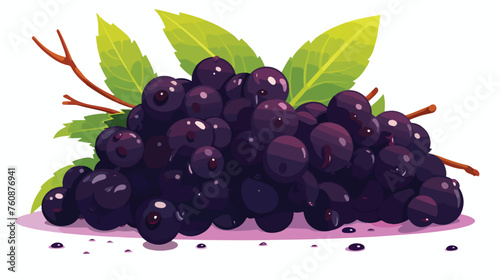 An incensed elderberry with its dark purple skin fu
