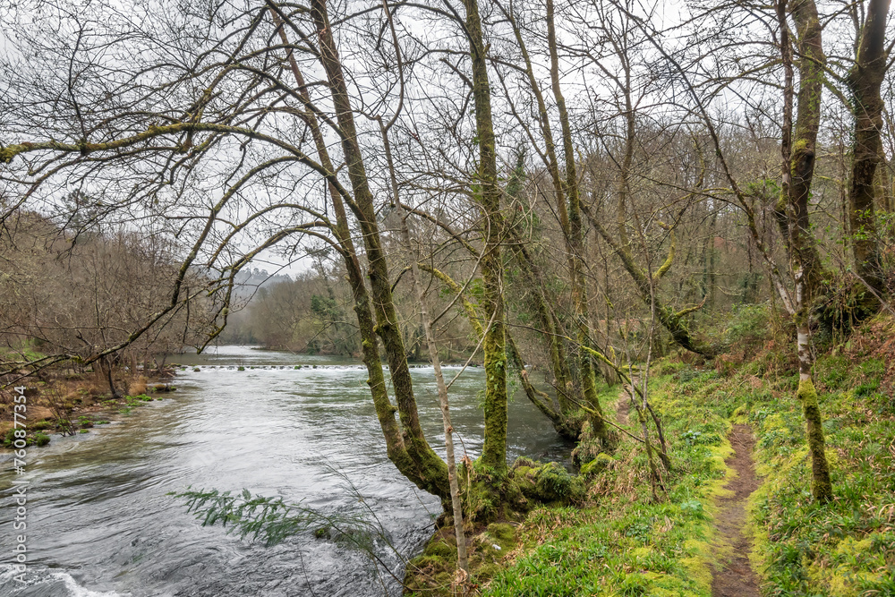El río Tea a su paso por Mondariz (Galicia, España) El río Tea a su paso por Mondariz (Galicia, España)
