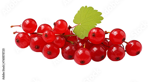 A bunch of luscious cherries with leaves on a white background