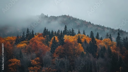 mountain behind the forested hill. lovely nature background on an overcast autumn day