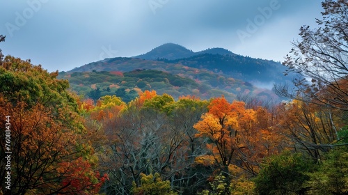mountain behind the forested hill. lovely nature background on an overcast autumn day