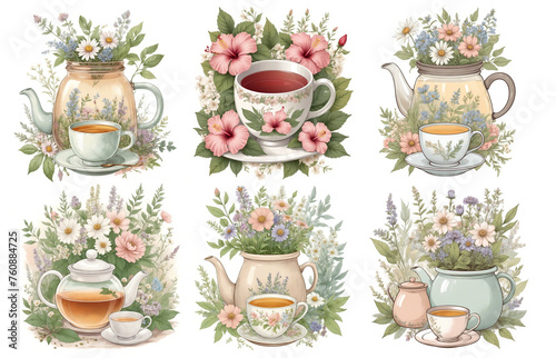 Herbal tea with herbs and plants: chamomile, peppermint, rose hip, echinacea. Healthy food, bio, organic, natural product, herbal tea. Watercolor illustration set isolated on white background