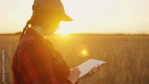 Farmer-agronomist woman walks through a wheat field with a tablet at sunset