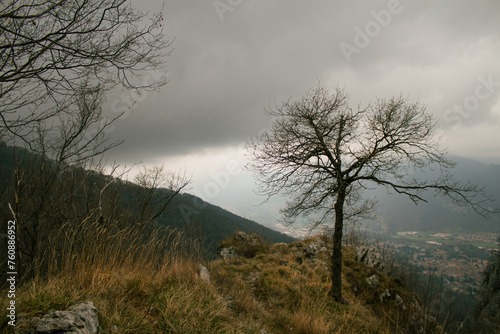 piccolo albero sulla collina © Lorenzo