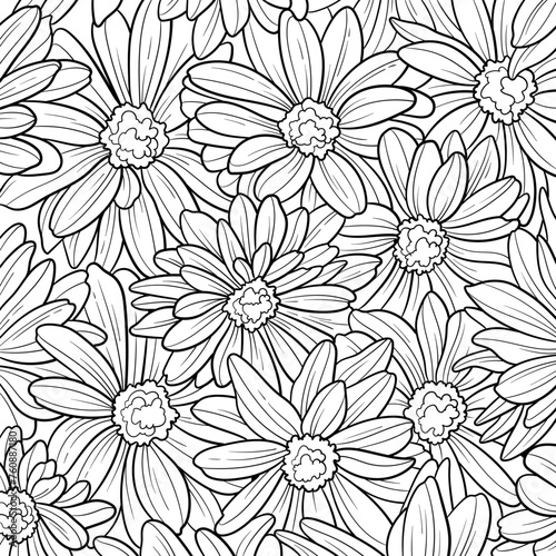 Flowers coloring page, daisy flowers top view. Botanical illustration close up, floral drawing. Spring flower background, floral outline drawing