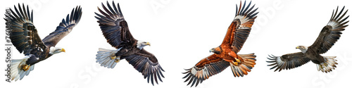 Majestic eagle soaring against a blue sky  Hyperrealistic Highly Detailed Isolated On Transparent Background Png File © Wander Taste