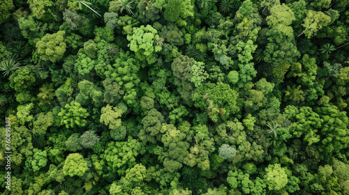 Aerial View of Amazon Deforestation, news, illustration, image, article, newspaper © Dolgren