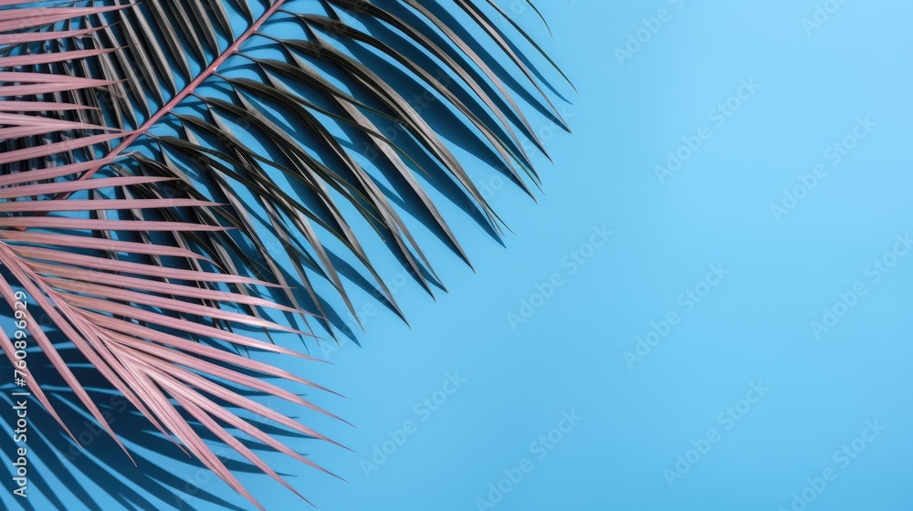 Obraz premium A palm tree with pink tropical leaves on a blue background with a place to copy text. The concept of recreation, tourism and sea travel.
