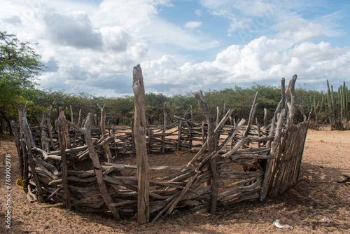 corral de palitos para encerrar los chivos u ovejas muy tipico de los indigenas wayuu photo