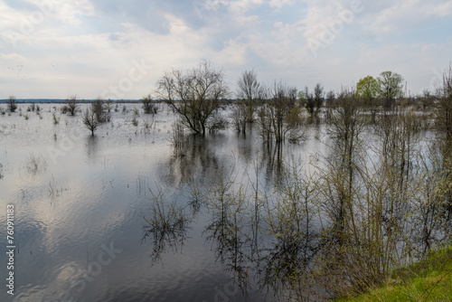 Flooded area near the Dnieper River in spring