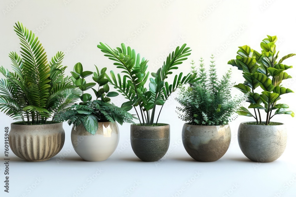 background with different species of plants